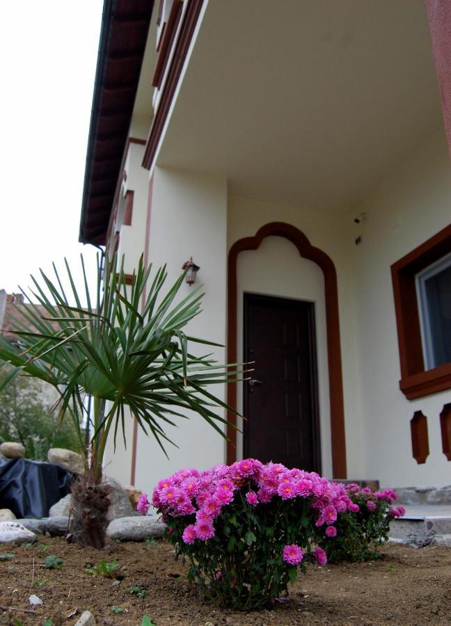 Vila Phoenix Călimăneşti Екстериор снимка