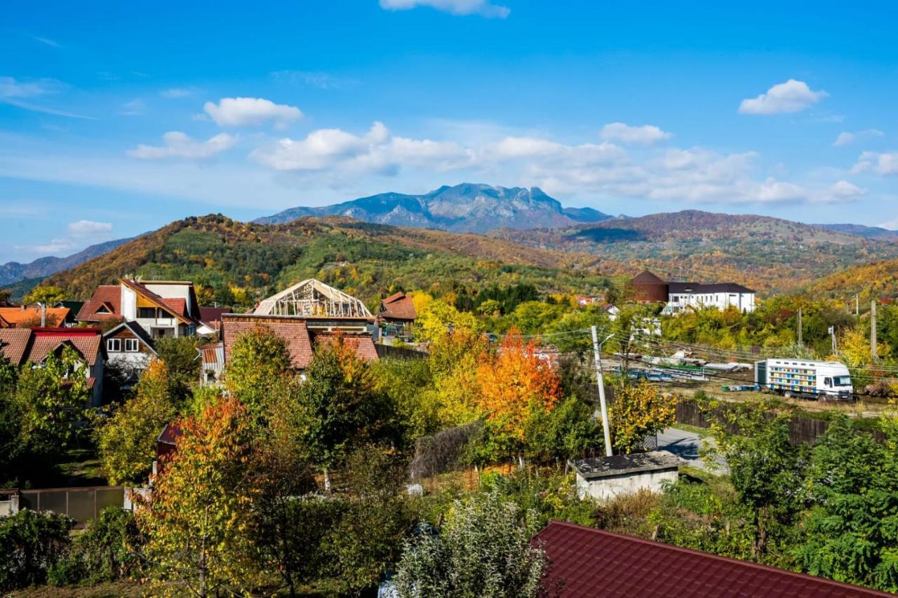Vila Phoenix Călimăneşti Екстериор снимка