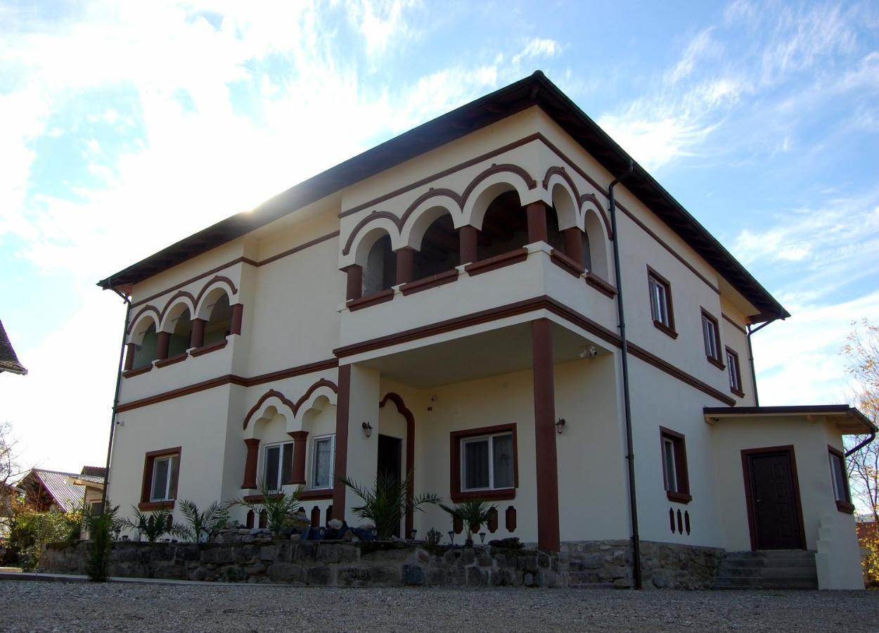 Vila Phoenix Călimăneşti Екстериор снимка