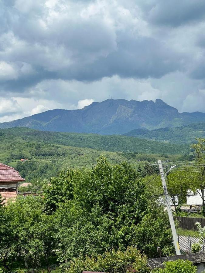 Vila Phoenix Călimăneşti Екстериор снимка
